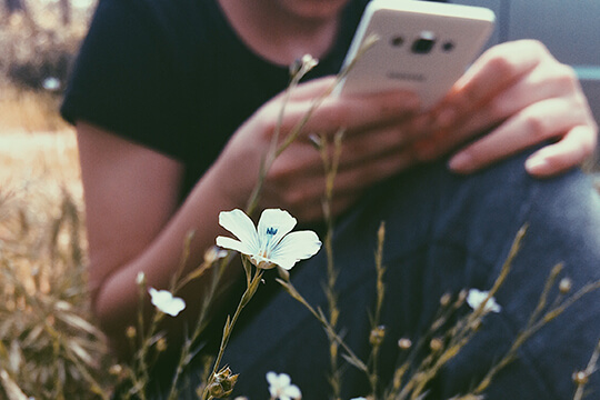 Egal ob zuhause oder in der Natur: Das Samsung Galaxy S8 ist ein Alleskönner.