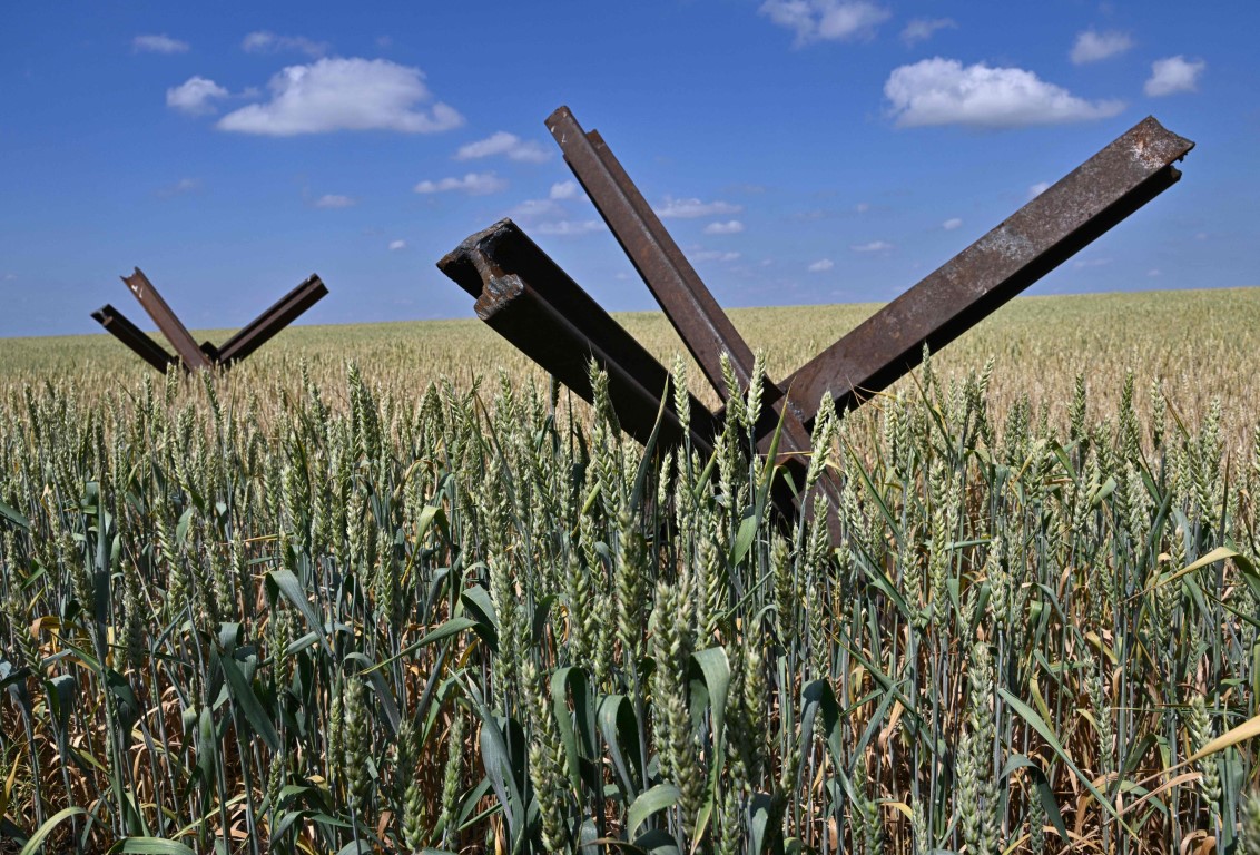 A wheat field in Southern Ukraine, © *Genya Savilov /AFP via Getty Images*