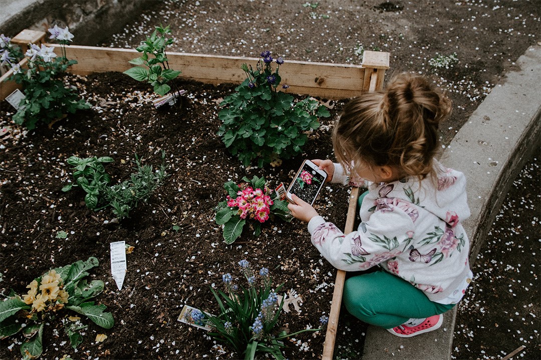 The best low-priced iPhones for kids or teens