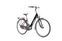 Breezer Powertrip EVO 3.1+ (2022) | Low Entry | black | 28" | 45 cm | < 100 km thumbnail 1/4