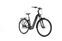 Flyer Gotour6 5.40 (2022) | Low Entry | black | 28" | 49 cm | < 100 km thumbnail 1/4