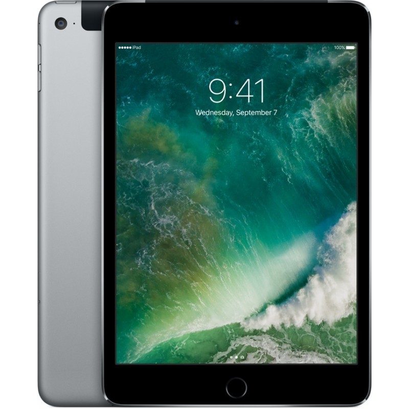 iPad mini 4 (2015) | 7.9