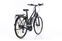 Pegasus Ancura E8 Disc (2021) | Trapez | schwarz | 28" | 55 cm | 500 - 1000 km thumbnail 2/5