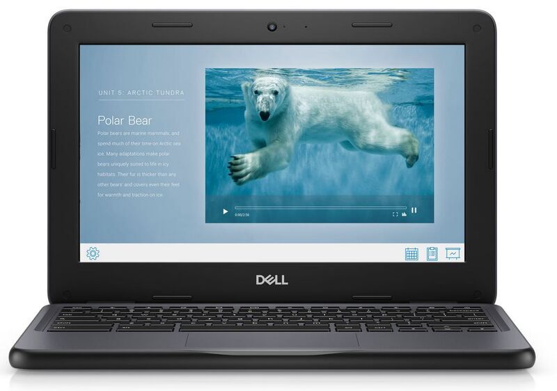 Dell Chromebook 3100 | N4020 | 11.6" | 4 GB | 32 GB eMMC | Chrome OS | US