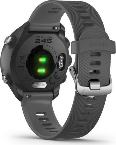 Garmin 245 2019 online